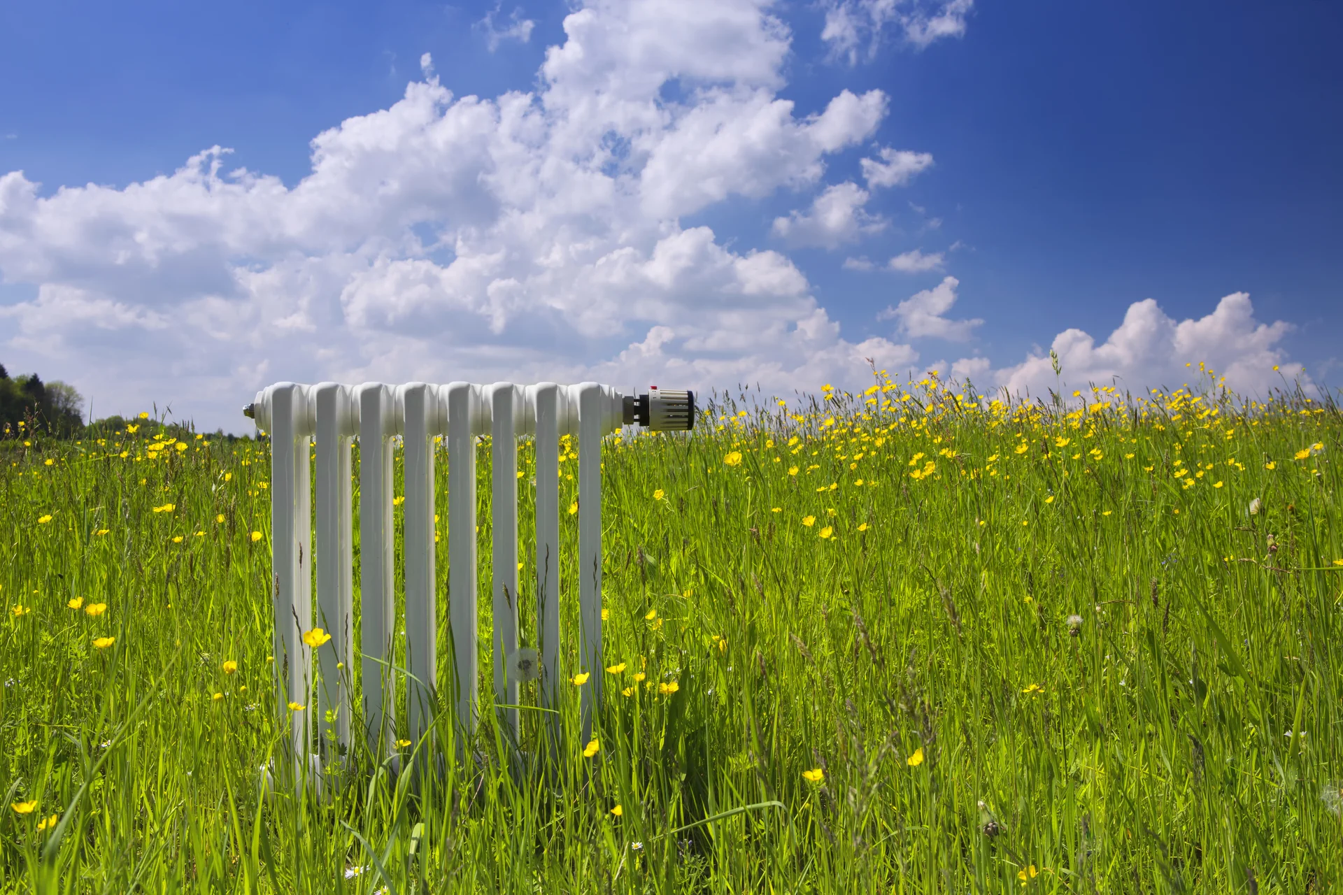 Radiateur blanc vintage dans une prairie fleurie de boutons d'or sous un ciel bleu nuageux